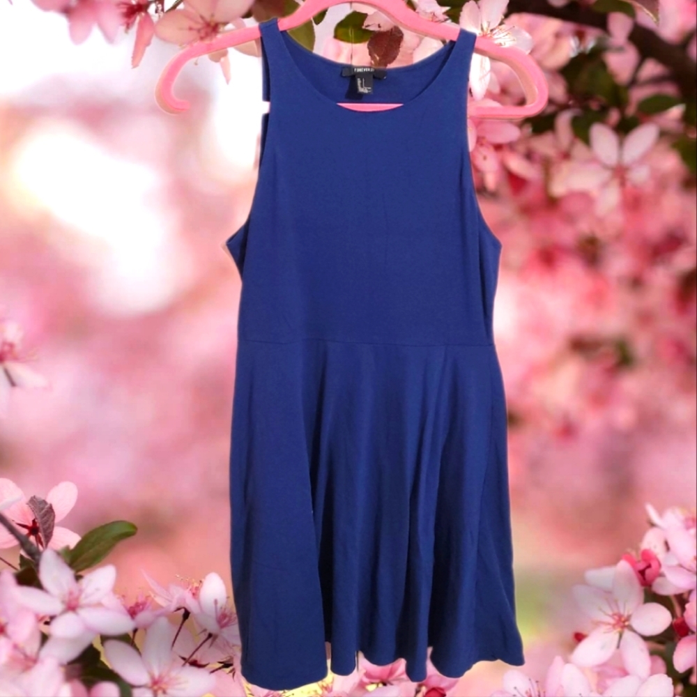 Forever 21 Blue Skater dress size L